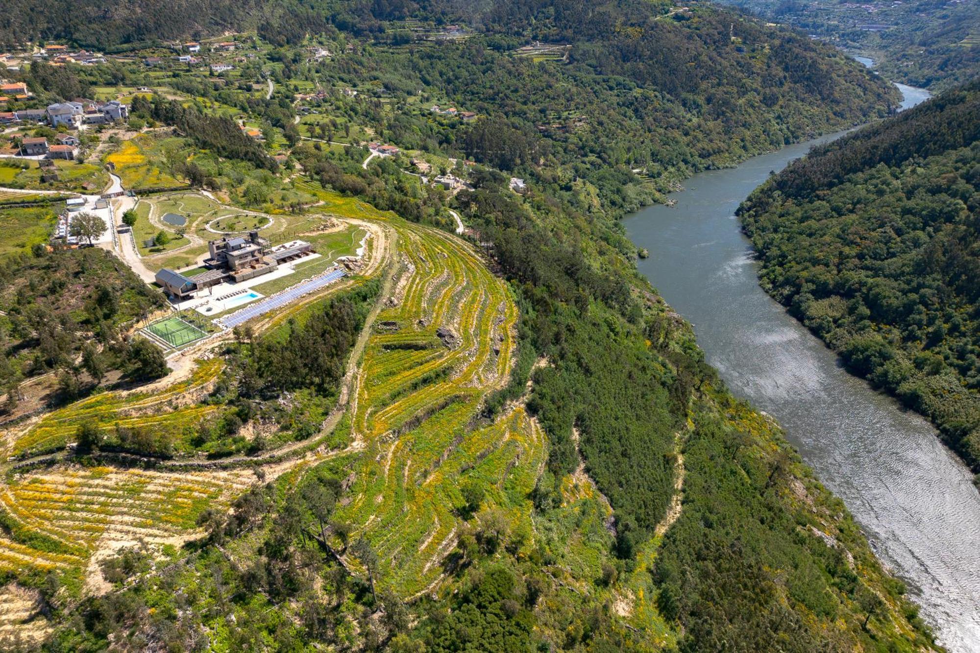 Quinta De Cabanas Douro Country House Penha Longa 외부 사진